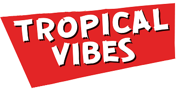 Tropical Vibes Drinks: Exhibiting at the Street Food Business Expo