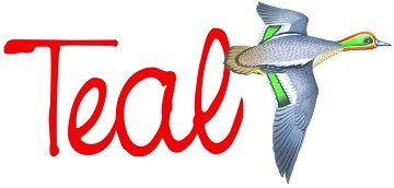 Teal: Exhibiting at Street Food Business Expo